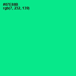 #07E88B - Caribbean Green Color Image
