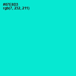 #07E8D3 - Bright Turquoise Color Image