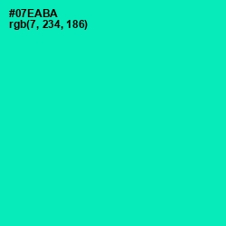 #07EABA - Caribbean Green Color Image