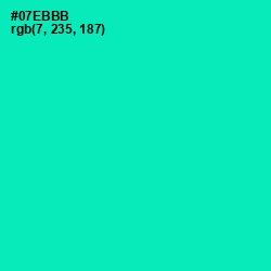 #07EBBB - Caribbean Green Color Image