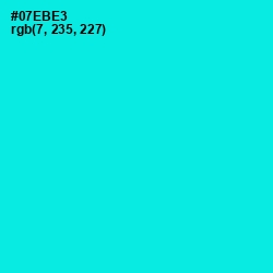 #07EBE3 - Cyan / Aqua Color Image