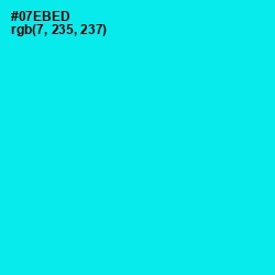 #07EBED - Cyan / Aqua Color Image