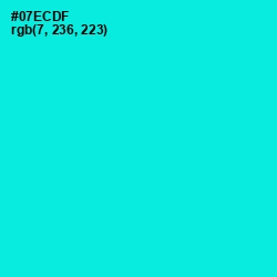 #07ECDF - Bright Turquoise Color Image