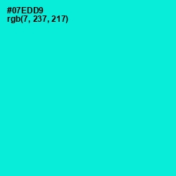 #07EDD9 - Bright Turquoise Color Image