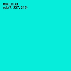 #07EDDB - Bright Turquoise Color Image