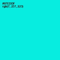 #07EDDF - Bright Turquoise Color Image