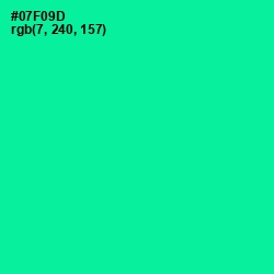 #07F09D - Caribbean Green Color Image