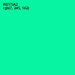 #07F5A2 - Caribbean Green Color Image