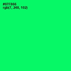 #07F866 - Spring Green Color Image