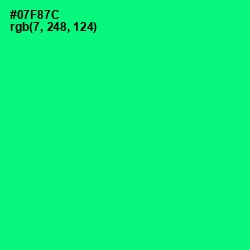 #07F87C - Spring Green Color Image