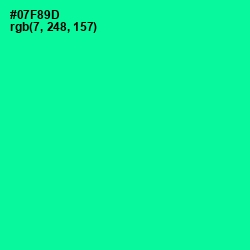 #07F89D - Caribbean Green Color Image