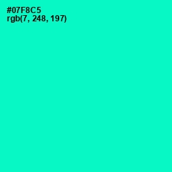 #07F8C5 - Bright Turquoise Color Image