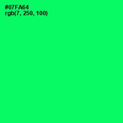 #07FA64 - Spring Green Color Image