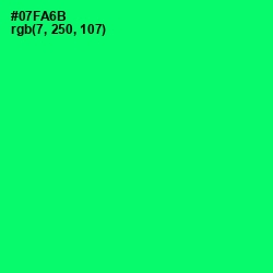 #07FA6B - Spring Green Color Image