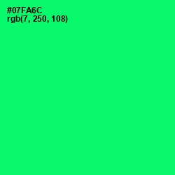 #07FA6C - Spring Green Color Image