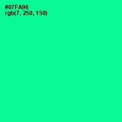 #07FA96 - Caribbean Green Color Image