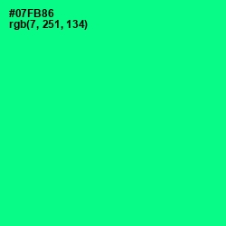 #07FB86 - Caribbean Green Color Image