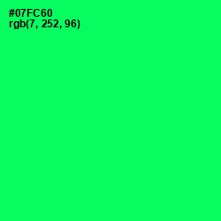 #07FC60 - Spring Green Color Image