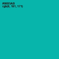 #08B5AB - Persian Green Color Image