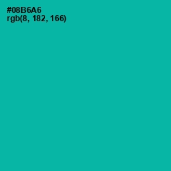 #08B6A6 - Persian Green Color Image