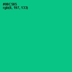 #08C585 - Caribbean Green Color Image