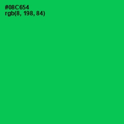 #08C654 - Malachite Color Image