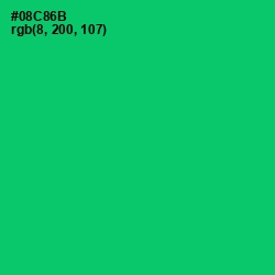 #08C86B - Malachite Color Image