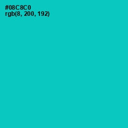 #08C8C0 - Robin's Egg Blue Color Image