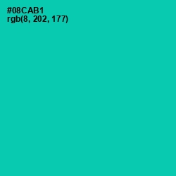 #08CAB1 - Caribbean Green Color Image