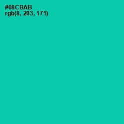 #08CBAB - Caribbean Green Color Image