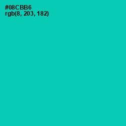 #08CBB6 - Caribbean Green Color Image
