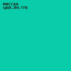 #08CCAA - Caribbean Green Color Image