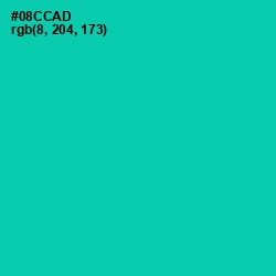 #08CCAD - Caribbean Green Color Image