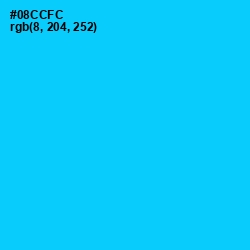 #08CCFC - Bright Turquoise Color Image