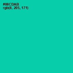 #08CDAB - Caribbean Green Color Image