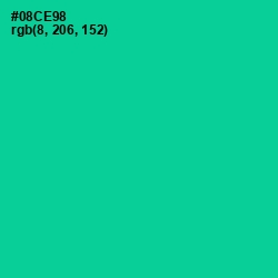 #08CE98 - Caribbean Green Color Image