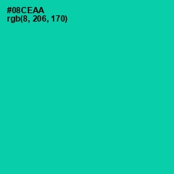 #08CEAA - Caribbean Green Color Image