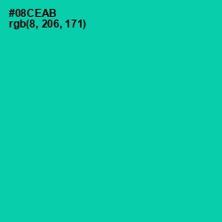 #08CEAB - Caribbean Green Color Image