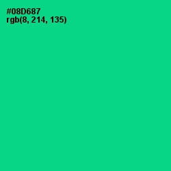 #08D687 - Caribbean Green Color Image