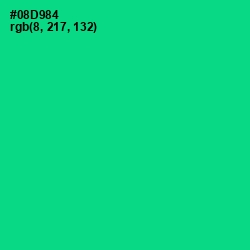 #08D984 - Caribbean Green Color Image