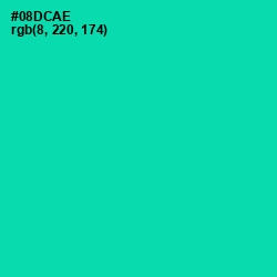 #08DCAE - Caribbean Green Color Image