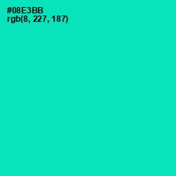 #08E3BB - Caribbean Green Color Image