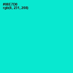 #08E7D0 - Bright Turquoise Color Image