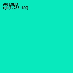 #08E9BD - Caribbean Green Color Image