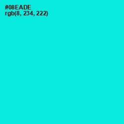 #08EADE - Bright Turquoise Color Image