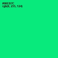#08EB7C - Spring Green Color Image