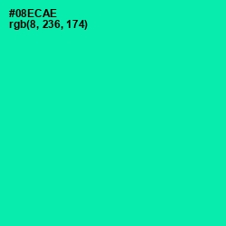 #08ECAE - Caribbean Green Color Image