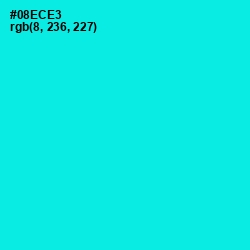 #08ECE3 - Cyan / Aqua Color Image