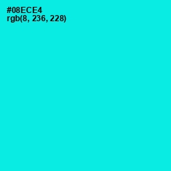 #08ECE4 - Cyan / Aqua Color Image