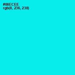 #08ECEE - Cyan / Aqua Color Image